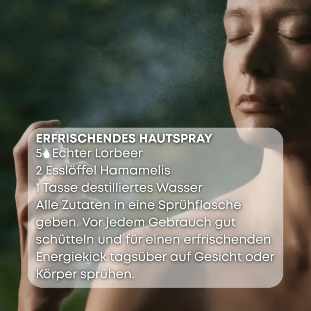 Bio echter lorbeer Ätherisches Öl rezept