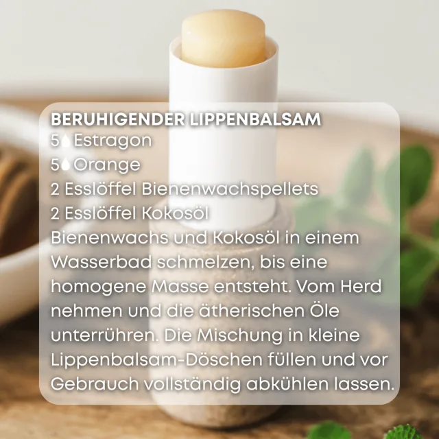 Bio estragon Ätherisches Öl rezept