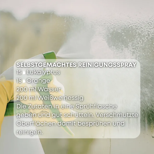 Bio eukalyptus Ätherisches Öl rezept 2