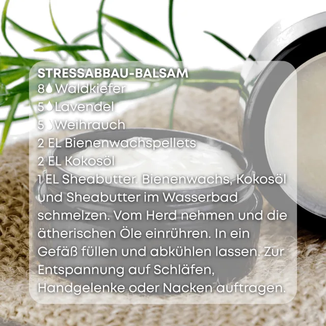 Bio waldkiefer Ätherisches Öl rezept 2