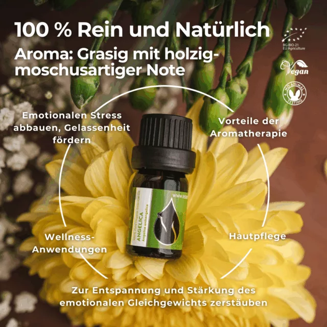 (german) en angelica infographic 1