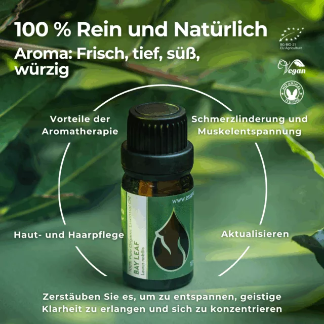 (german) en bay leaf infographic 1