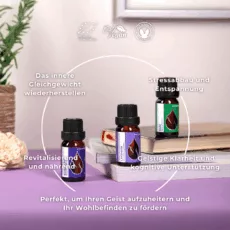 (german) en bliss set infographic 2