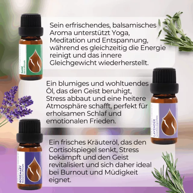 (german) en bliss set infographic