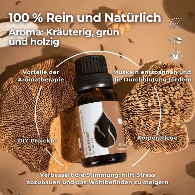 (german) en caraway infographic 1