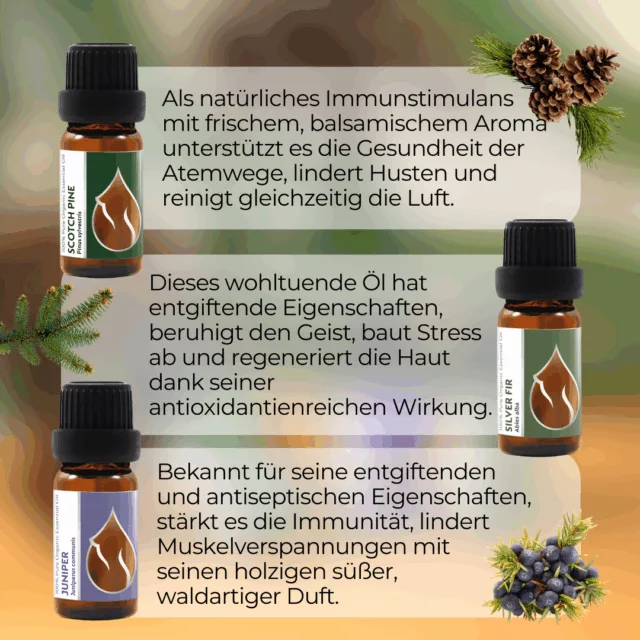 (german) en forest magic set infographic 1