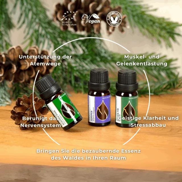 (german) en forest magic set infographic 2