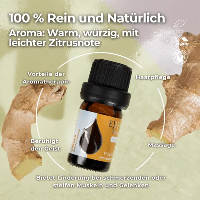 (german) en ginger infographic 1