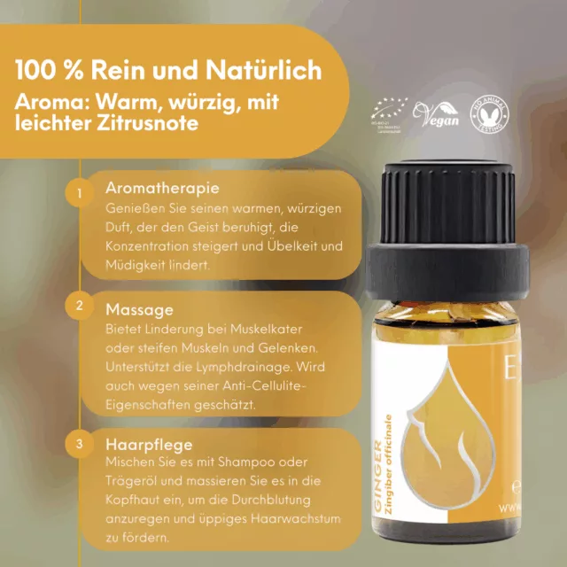 (german) en ginger infographic 2