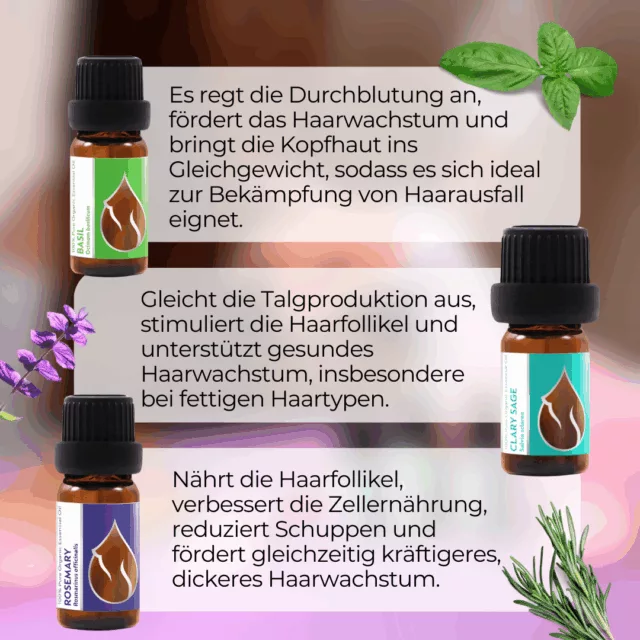 (german) en hair repair set infographic