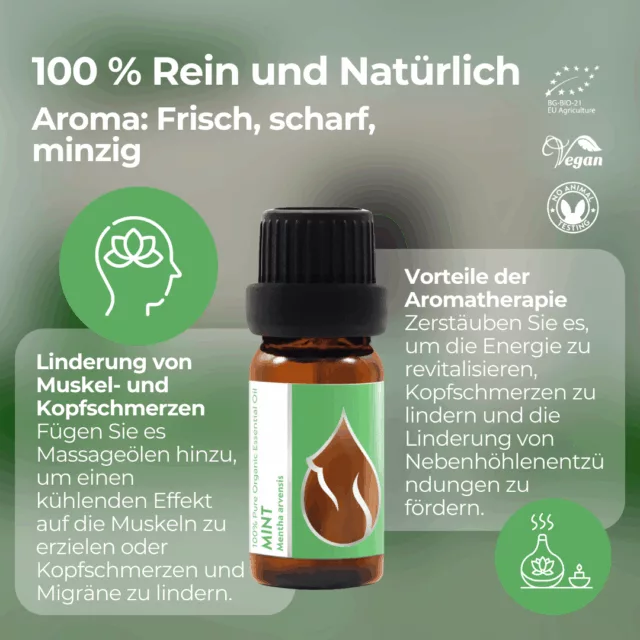 (german) en mint infographic 1