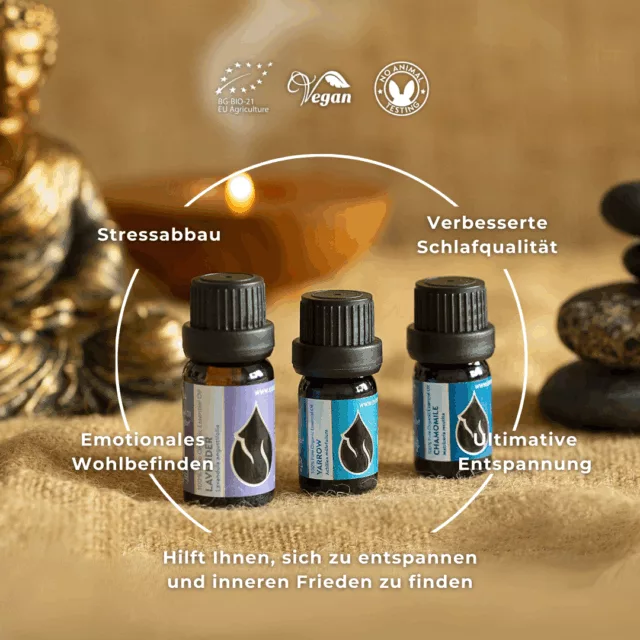 (german) en relax set infographic 2