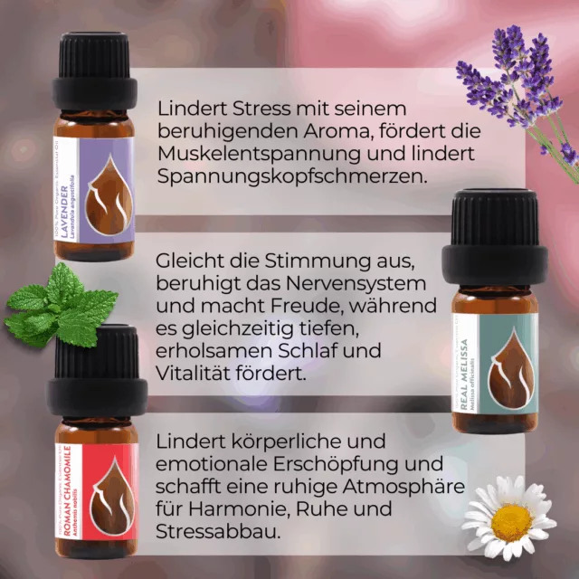 (german) en sweet dreams set infographic 1