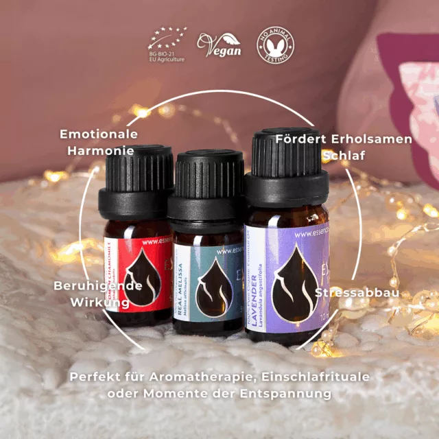 (german) en sweet dreams set infographic 2