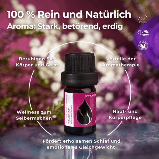 (german) en valerian infographic 1