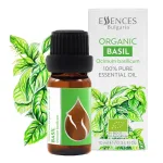Bio Basilikum Ätherisches Öl (10 ml)