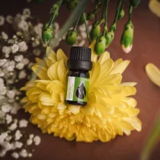 БИО Етерично масло Ангелика 3