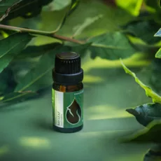 БИО Етерично масло Дафинов Лист 4