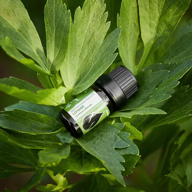 БИО Етерично масло Девесил 6