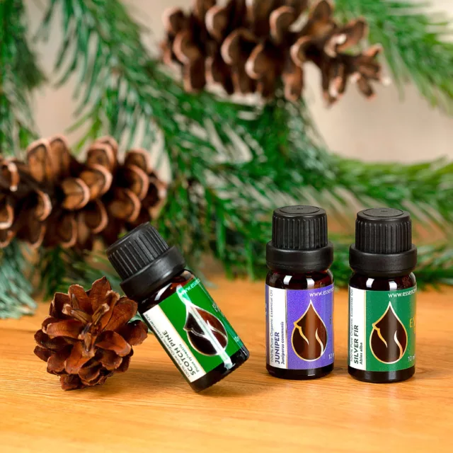БИО Етерично масло Хвойна 2