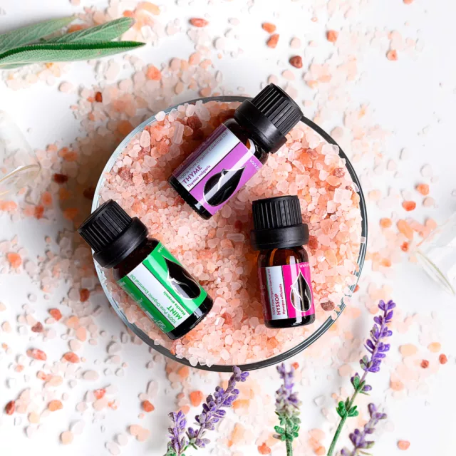 БИО Сет Дишай свободно 7