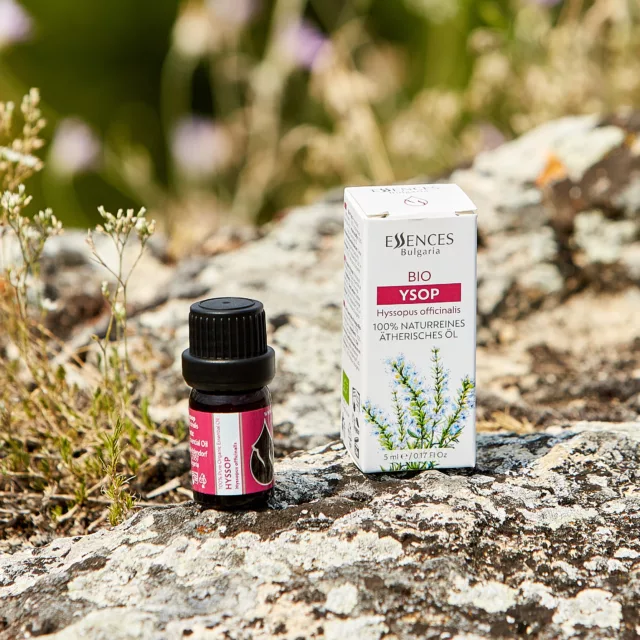 БИО Сет Дишай свободно 8