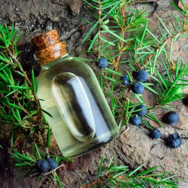 БИО Сет Горска магия 8