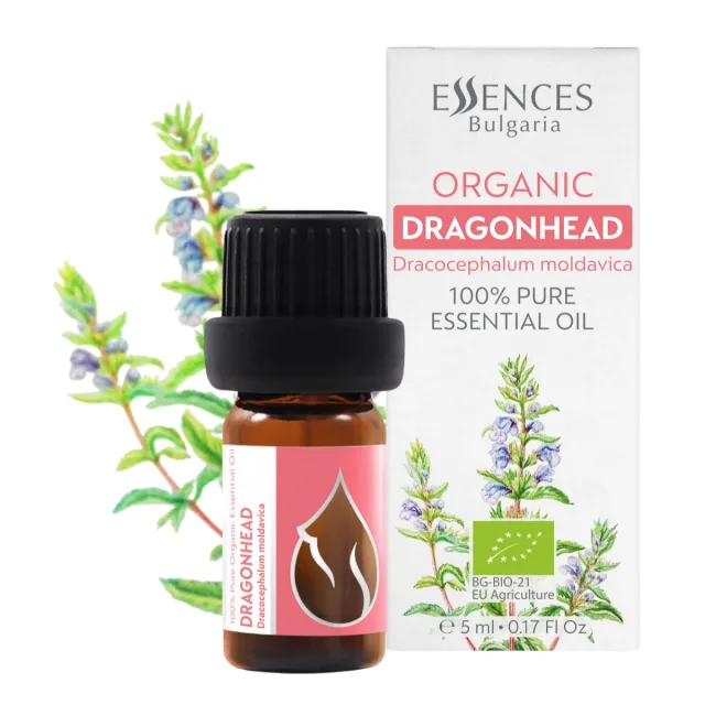 Bio Moldawischer Drachenkopf Ätherisches Öl (5 ml)