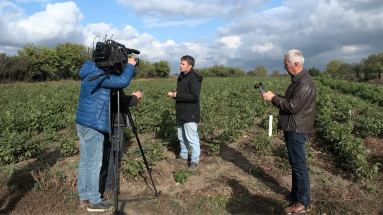 Essences Bulgaria in der BNT-TV-Sendung „Brazdi“