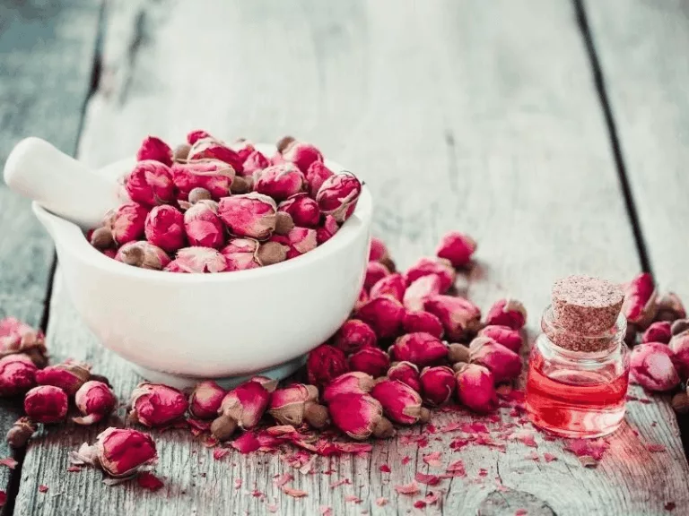 Vorteile und Anwendungsmöglichkeiten von Rosenöl