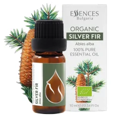 Organic Silver Fir Essential Oil