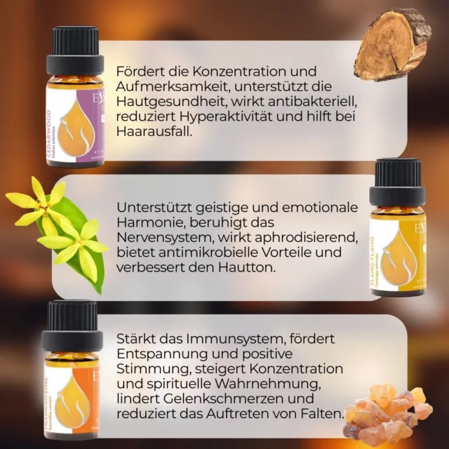 De evening meditation