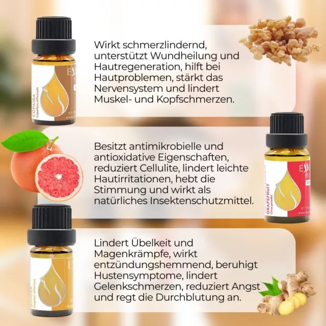 De fresh harmony infographic