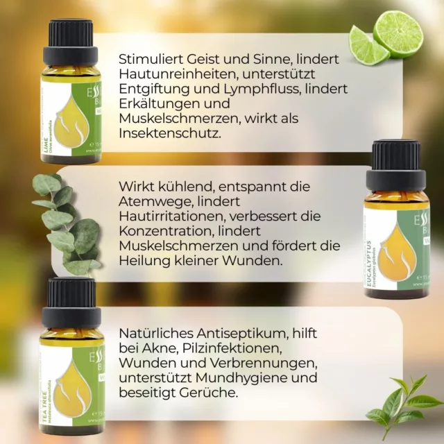 Infografik Morgenenergie