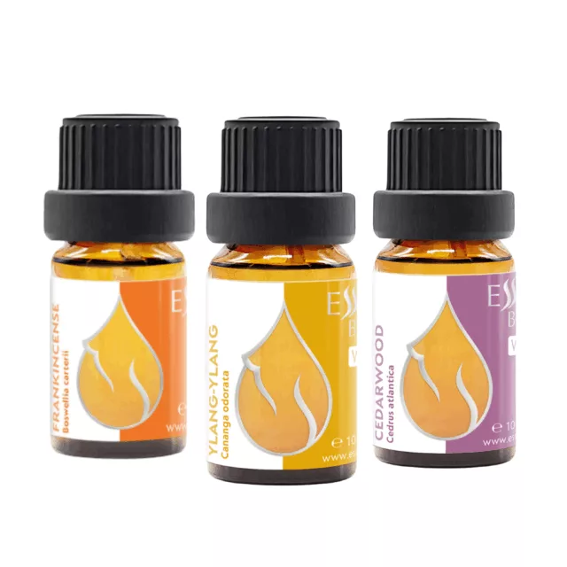 Abendmeditation Set – Bio Weihrauch-, Ylang-Ylang- und Zedernholz-Ätherisches Öl