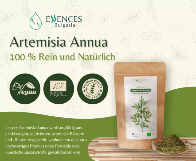 Bio Einjähriger Beifuß Kraut