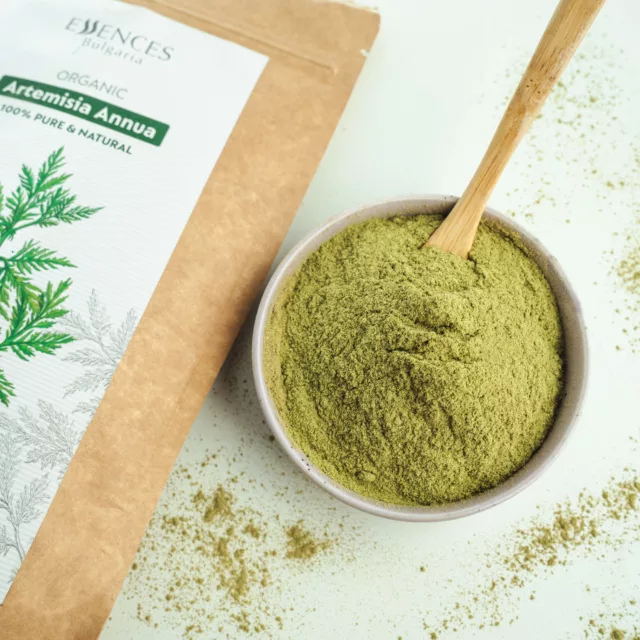 Sweet wormwood powder close