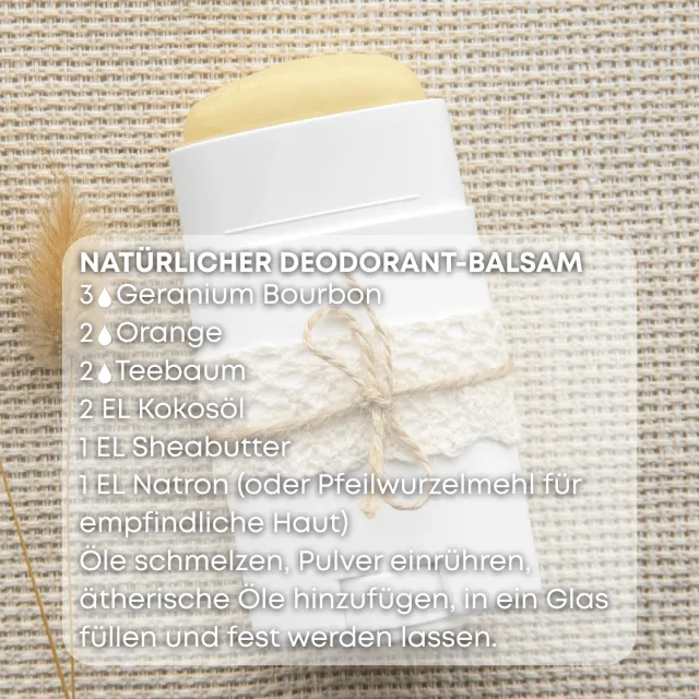 Bio bourbon geranie Ätherisches Öl rezept