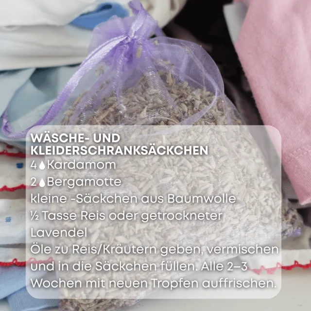 Bio kardamom Ätherisches Öl rezept 2