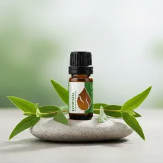 Bio ravintsara Ätherisches Öl