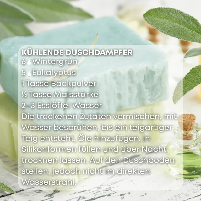 Bio wintergrun Ätherisches Öl rezept
