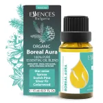 Bio Boreal Aura – Reine Mischung aus ätherischen Ölen (15 ml)
