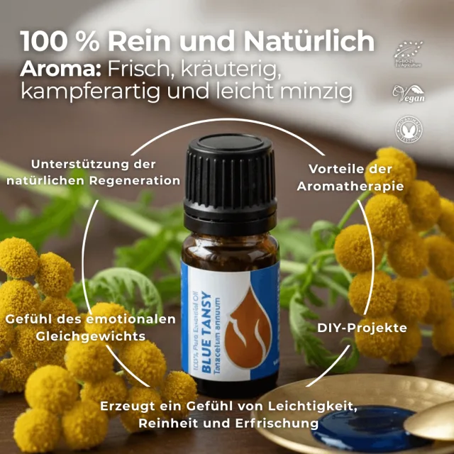 (german) blue tansy infogr…