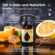 (german) solis aura infogr…