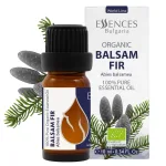 Bio Balsamtanne Ätherisches Öl (10ml)