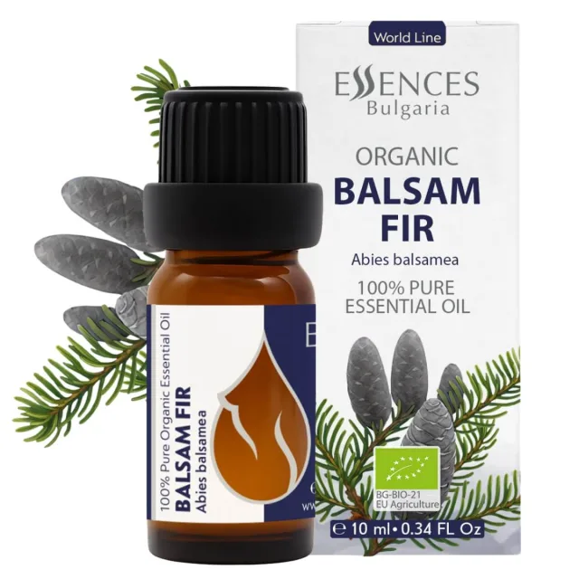Bio Balsamtanne Ätherisches Öl (10ml)