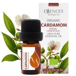 Bio Kardamom Ätherisches Öl (5ml)