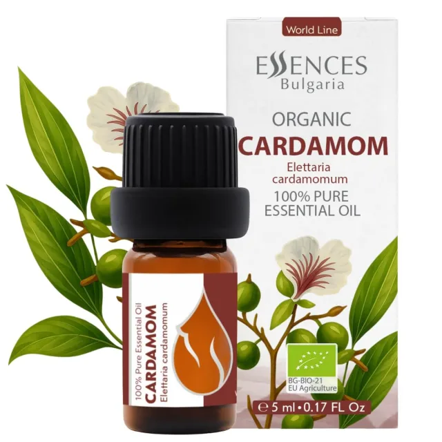 Bio Kardamom Ätherisches Öl (5ml)