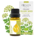 Bio Selleriesamen Ätherisches Öl (15 ml)