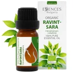 Bio Ravintsara Ätherisches Öl (10 ml)